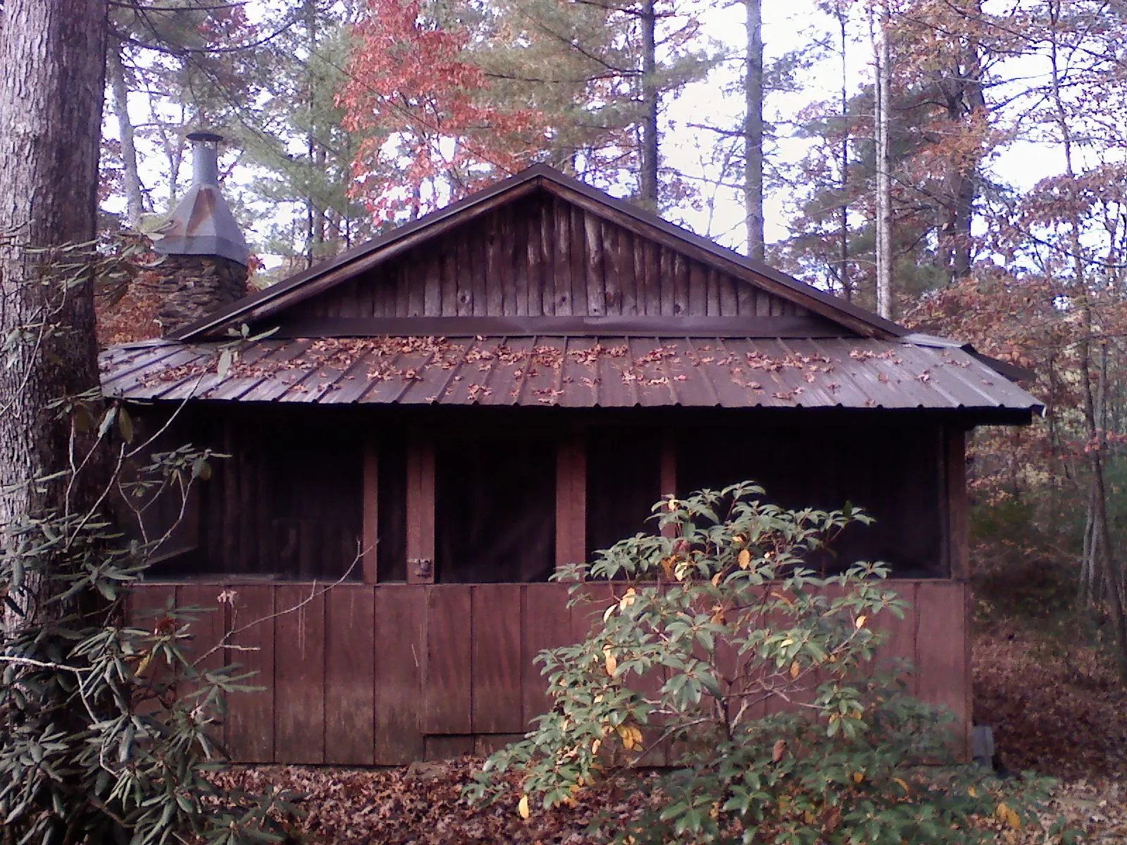 Metal roof over the screened porch of a rustic cabin in Allenhurst